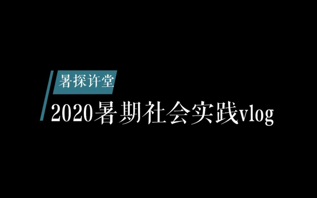 ”脱贫攻坚“暑探许堂小分队(万沪宁)哔哩哔哩bilibili