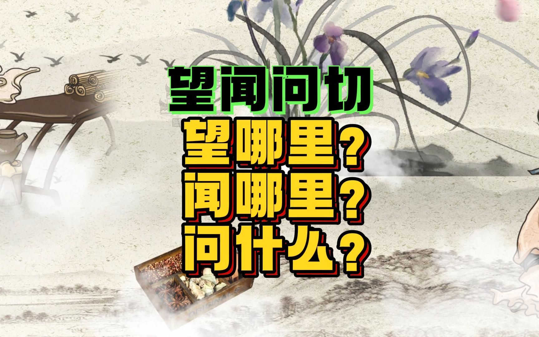 望闻问切,除了切脉外,望哪里?闻哪里?问什么?哔哩哔哩bilibili