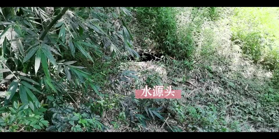 清山绿水哔哩哔哩bilibili