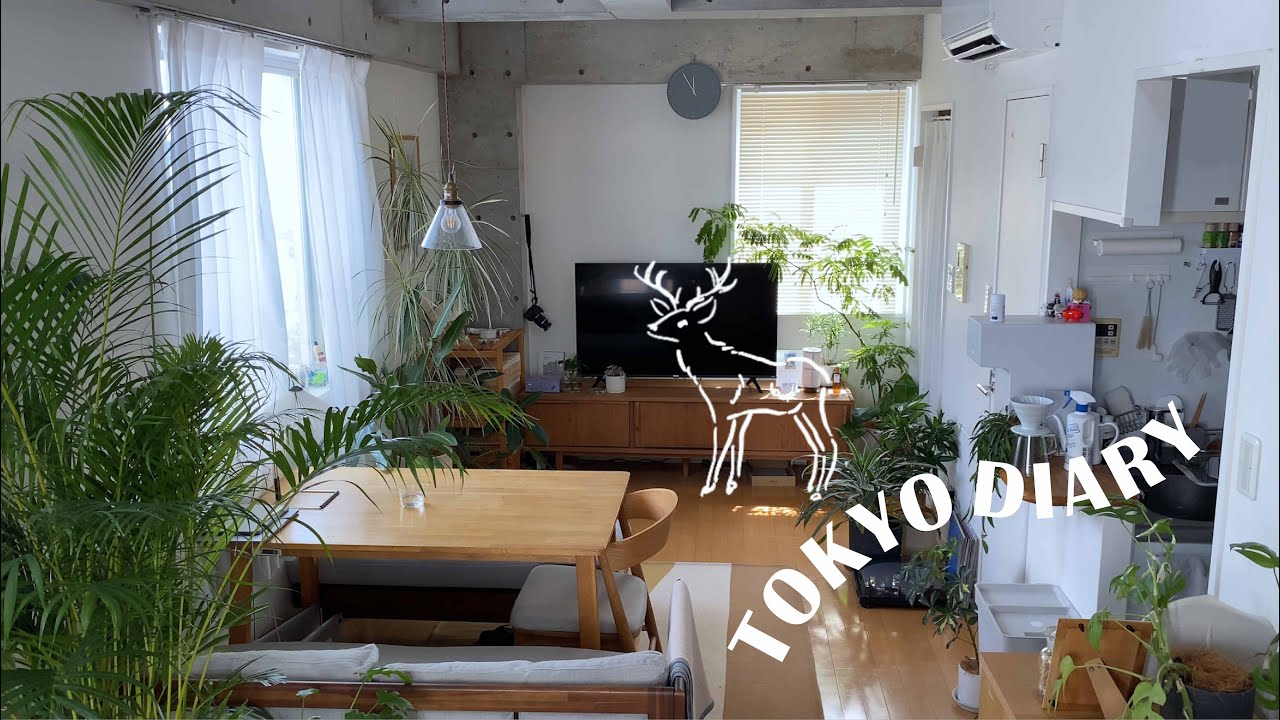 【𐟒ᮐŠRoomTour】房间内部植物协调 | 与植物一起生活 | 手绘动画哔哩哔哩bilibili