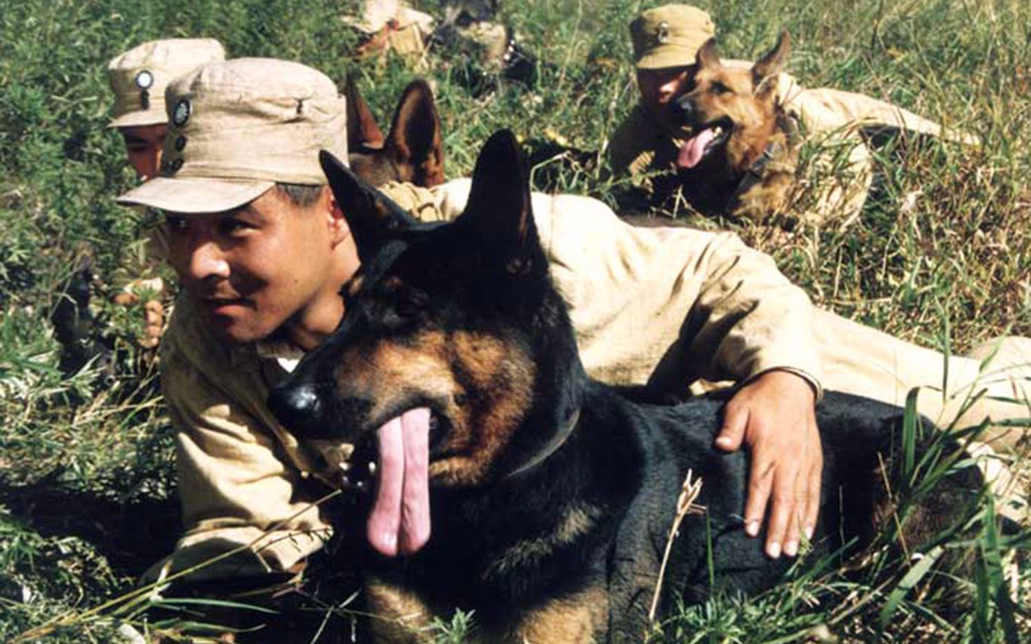 犬王版让子弹飞