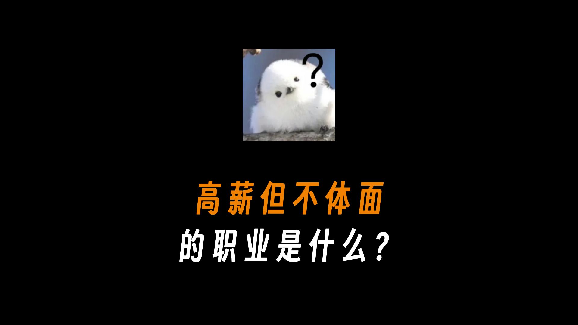 高薪但不体面的职业是什么?哔哩哔哩bilibili