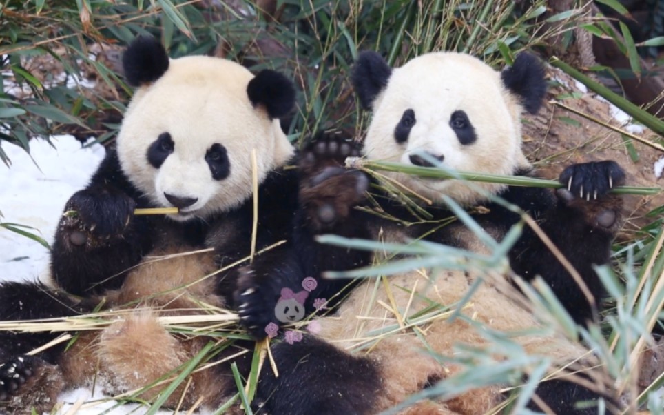 热干面和蛋烘糕,你的就是我的,我的也是你的啊