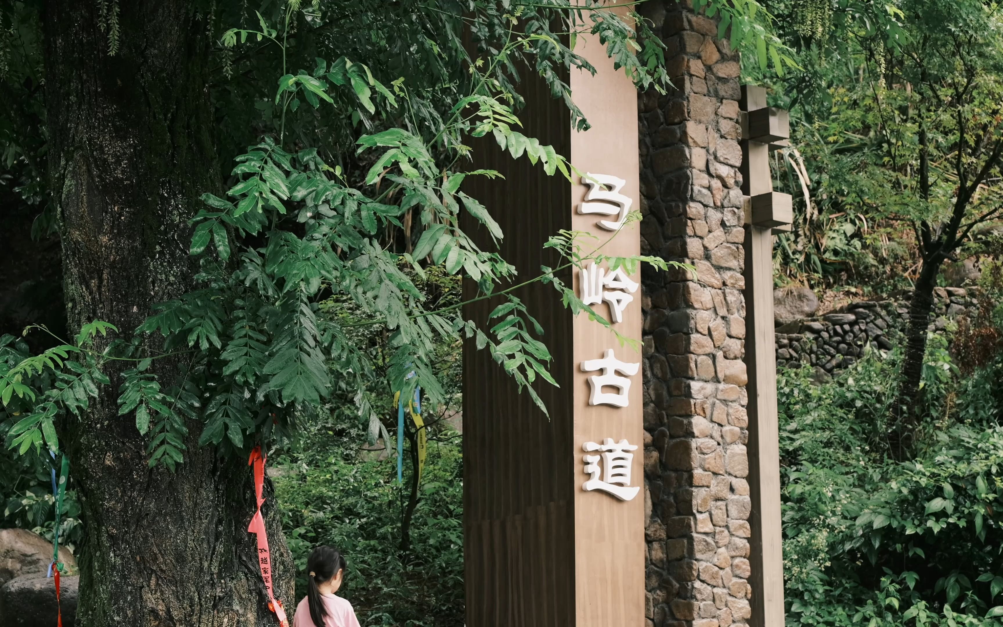 桐庐马岭古道 |松下s5m2x电影感短片