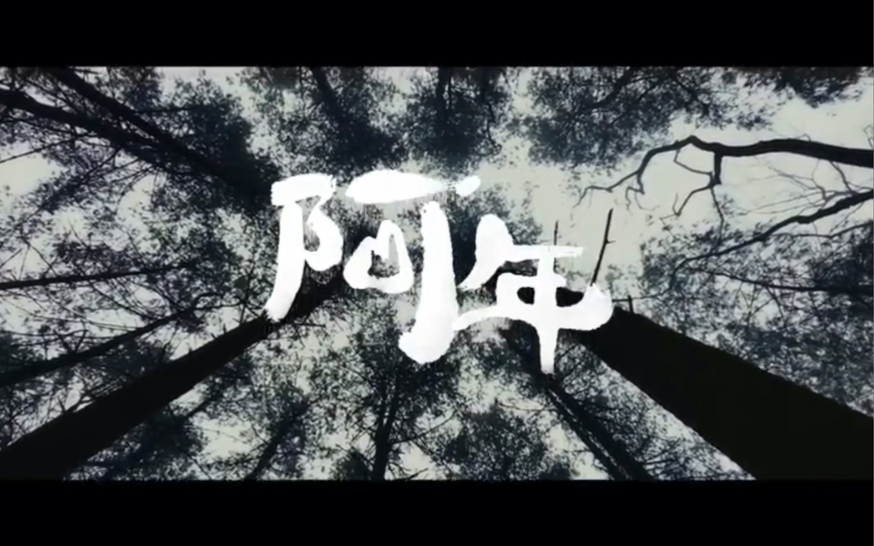 iphone 12 pro max拍摄的《阿年》全网首映,iphone带着新的传说来了.