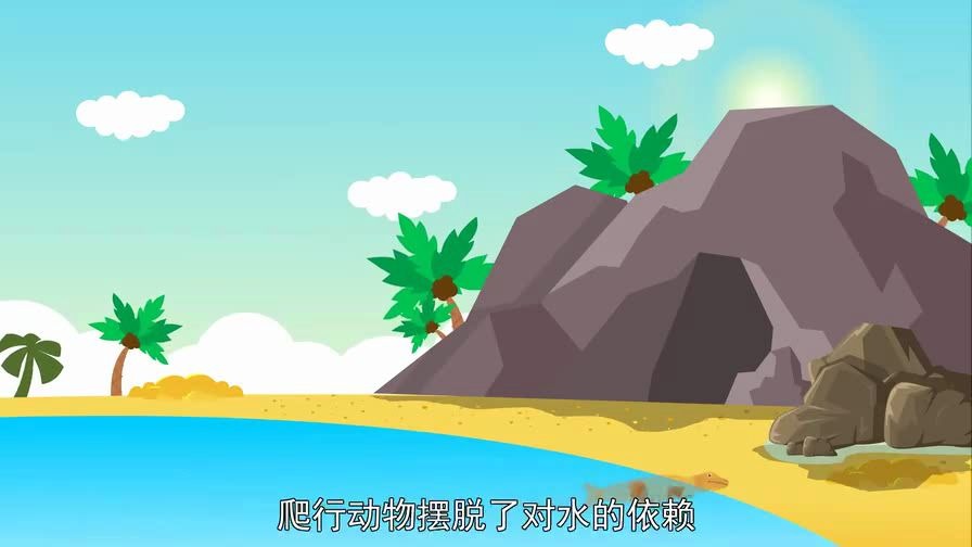 26一分钟了解爬行动物哔哩哔哩bilibili