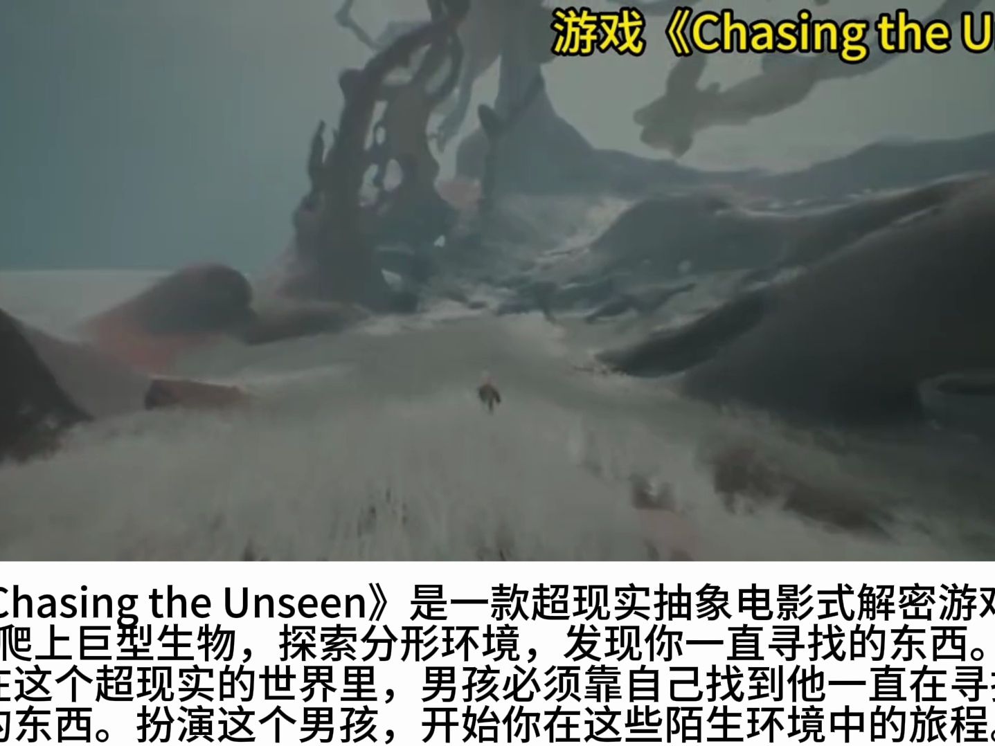 [图]《Chasing the Unseen》揭开发售日期时间