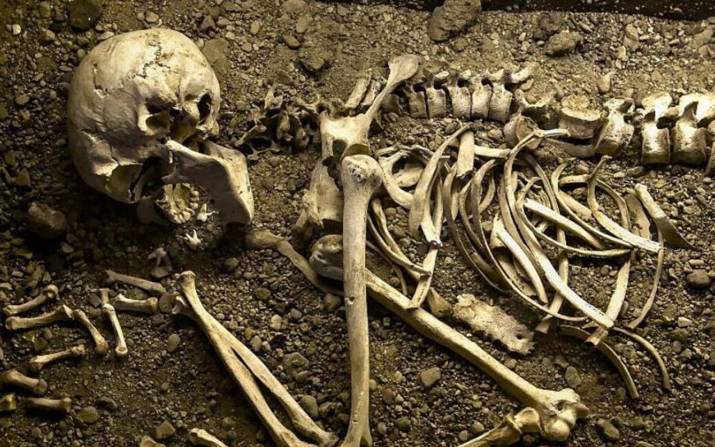 人死后过多长时间,身体会化成一堆白骨?