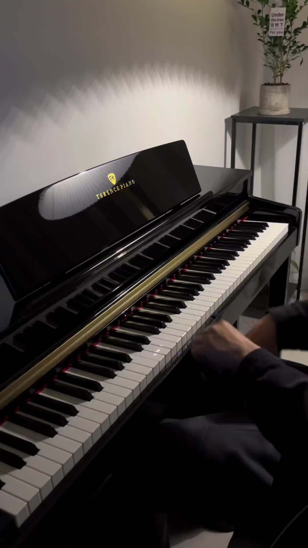 你敢相信这是2000年的歌周杰伦龙卷风钢琴特伦斯数码电钢琴d