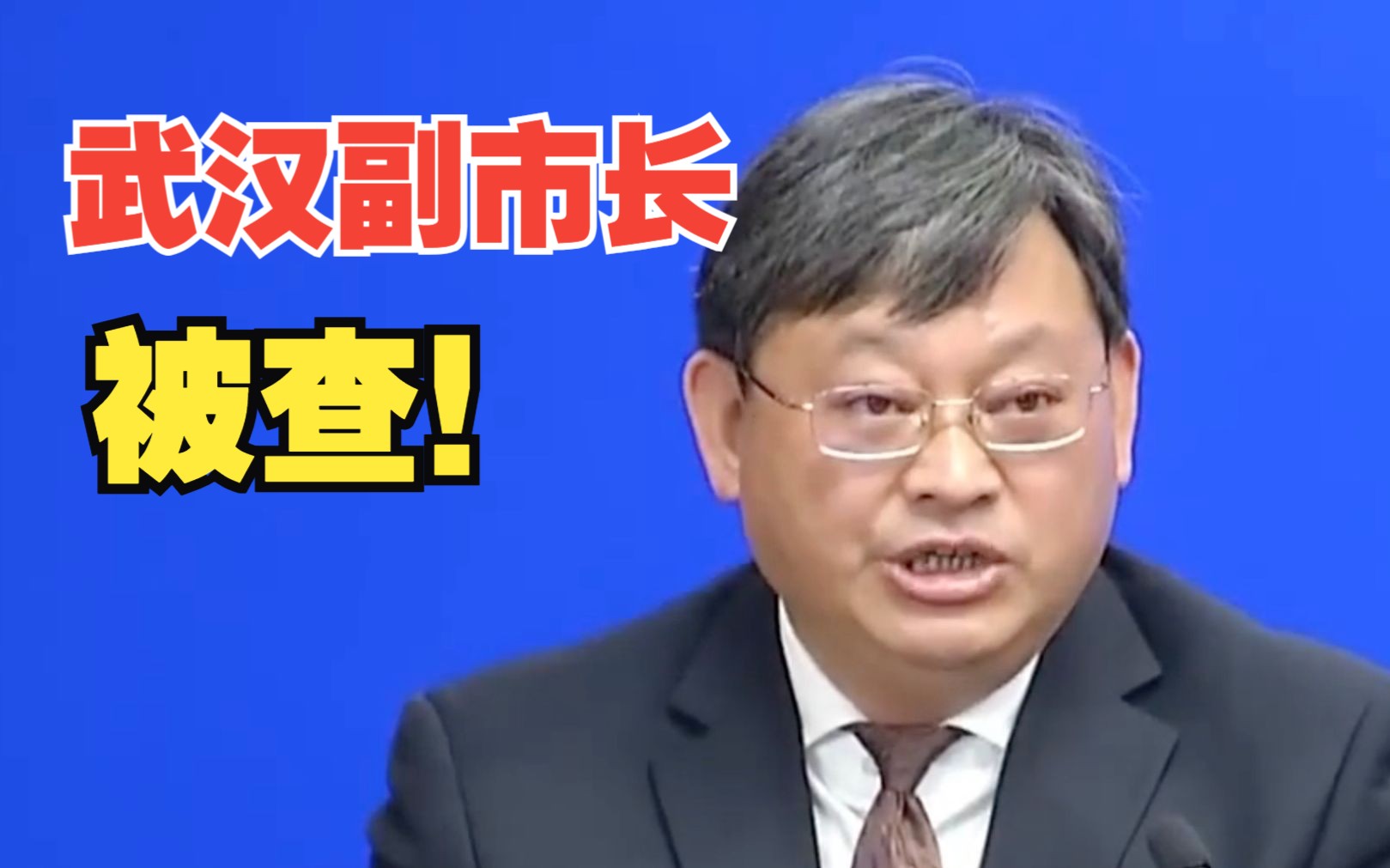 武汉市副市长王清华接受审查调查