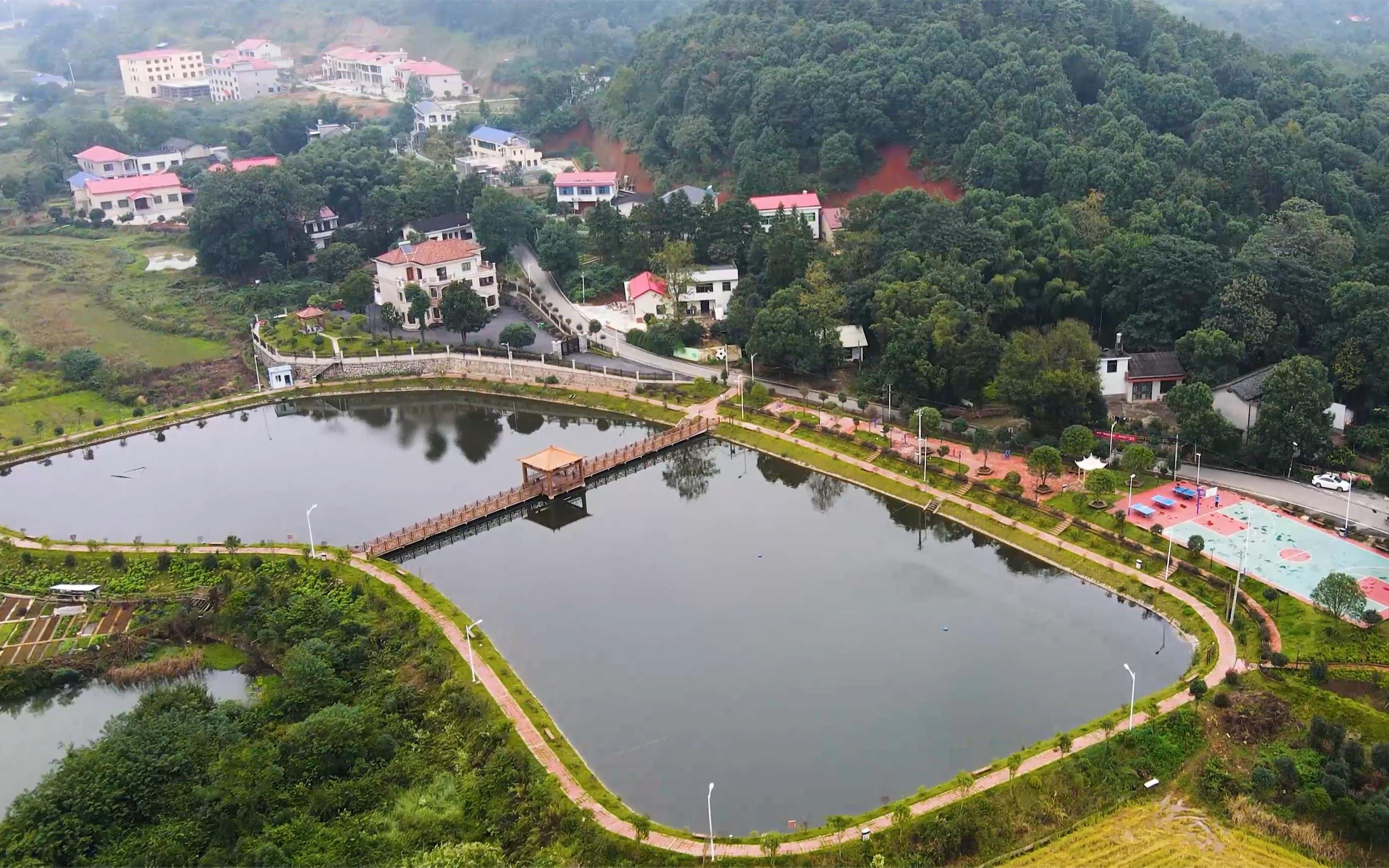 航拍全国百强县宁乡市农村兄弟联排别墅大气雄伟房子怎么住