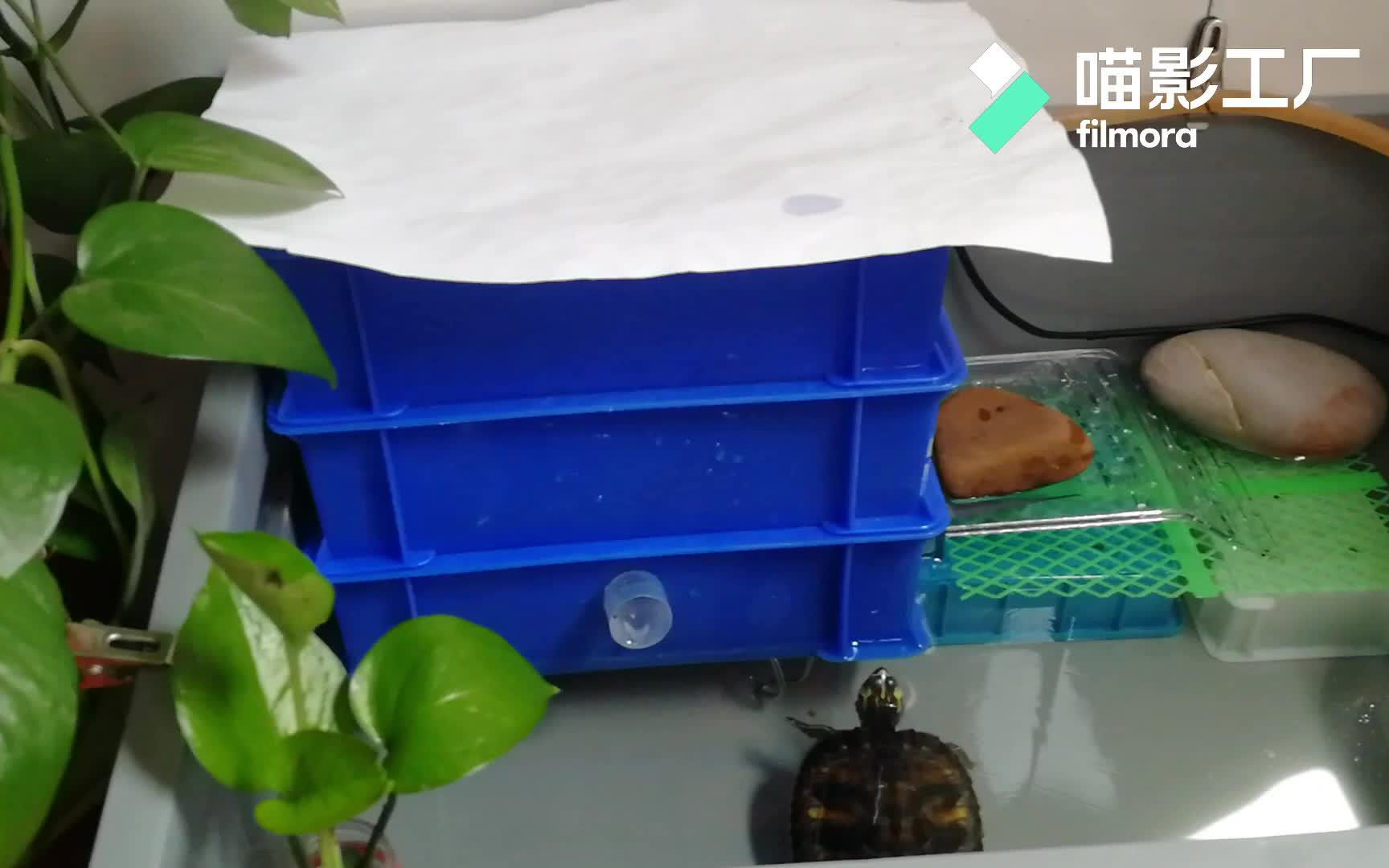 [图]自制滤水器-10块制作tb同款45块钱DIY周转箱过滤