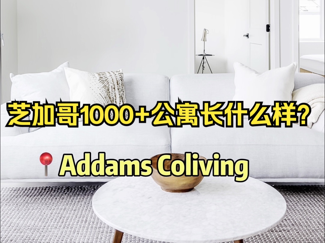 addams coliving 快剪哔哩哔哩bilibili