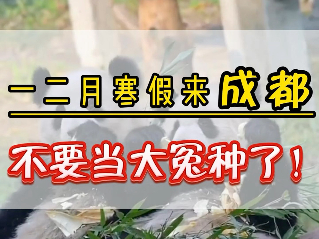 1月2月份寒假来成都千万不要当大冤种了.第一次来重庆这10个注意事项您一定要知道.#九寨沟旅游攻略 #四川旅游攻略 #成都旅游攻略 #成都旅行哔哩哔...