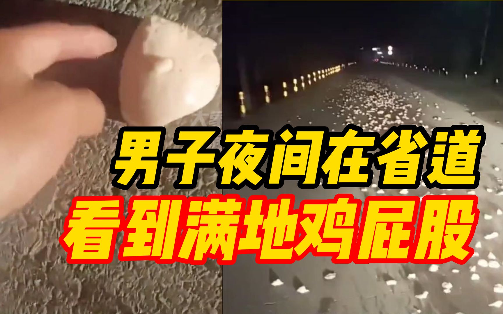 [图]男子夜间在省道看到满地鸡屁股，“吓死了 两三公里路上都是”