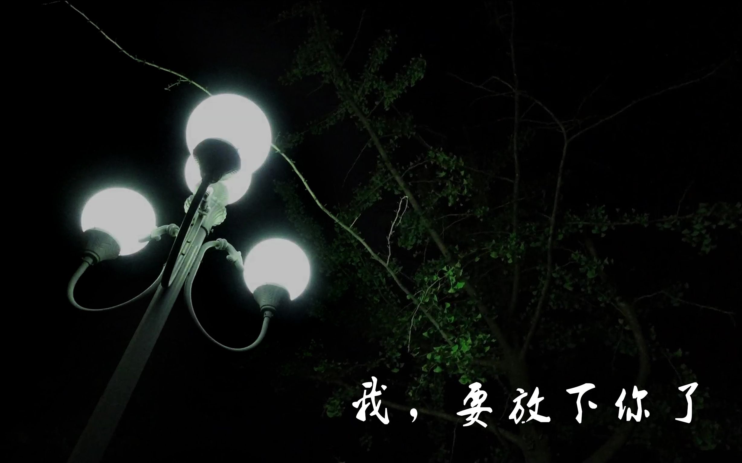 我,要放下你了.