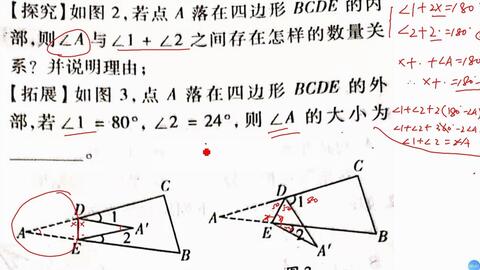 八下三角形证明 折叠问题的角度小探究 哔哩哔哩 Bilibili