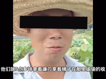 金凤村得罪了整个湘潭!整个湖南!旁边的村民都不待见来着金凤村的人了,村民真的害怕了!哔哩哔哩bilibili