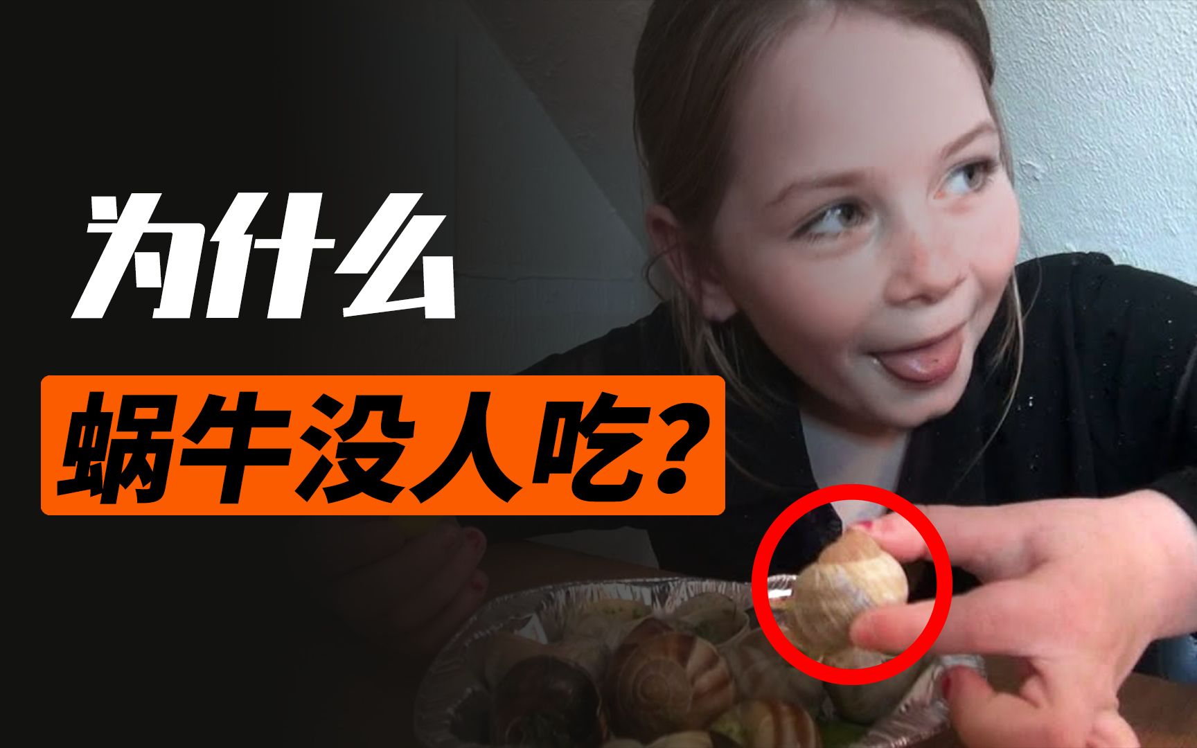 为什么法国受欢迎的蜗牛,在中国很少有人食用?哔哩哔哩bilibili