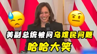 美副总统被问乌难民问题哈哈大笑