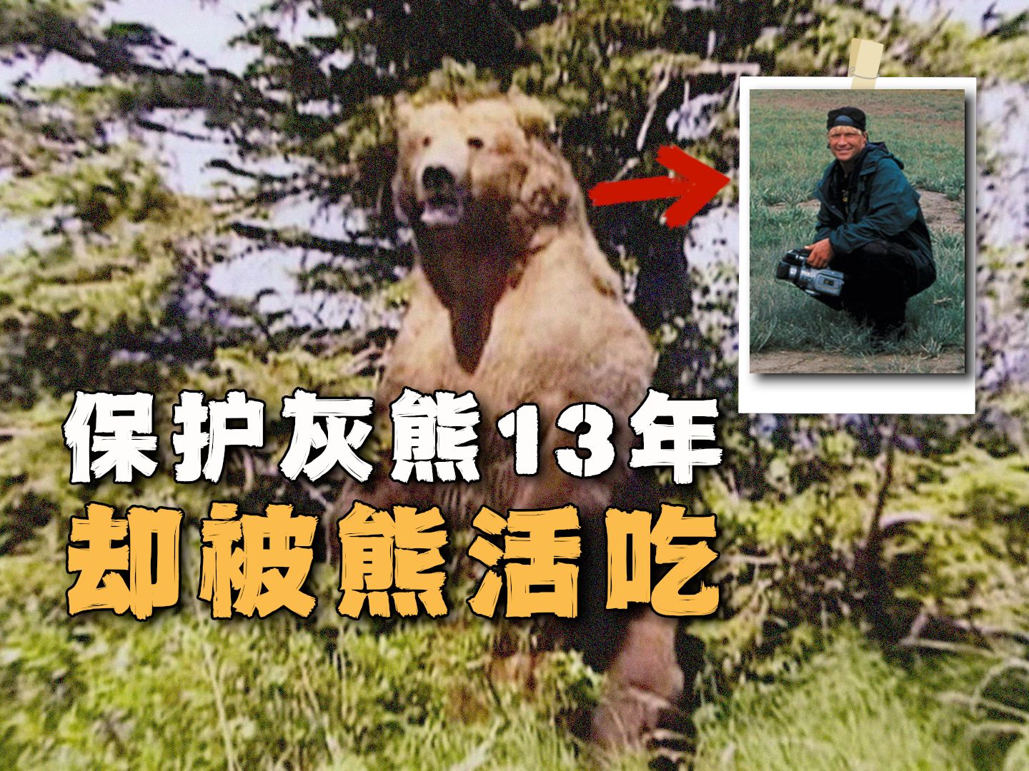 灰熊将他和女友撕成碎片,相机意外记录下了活吃过程,腹中装有四个垃圾