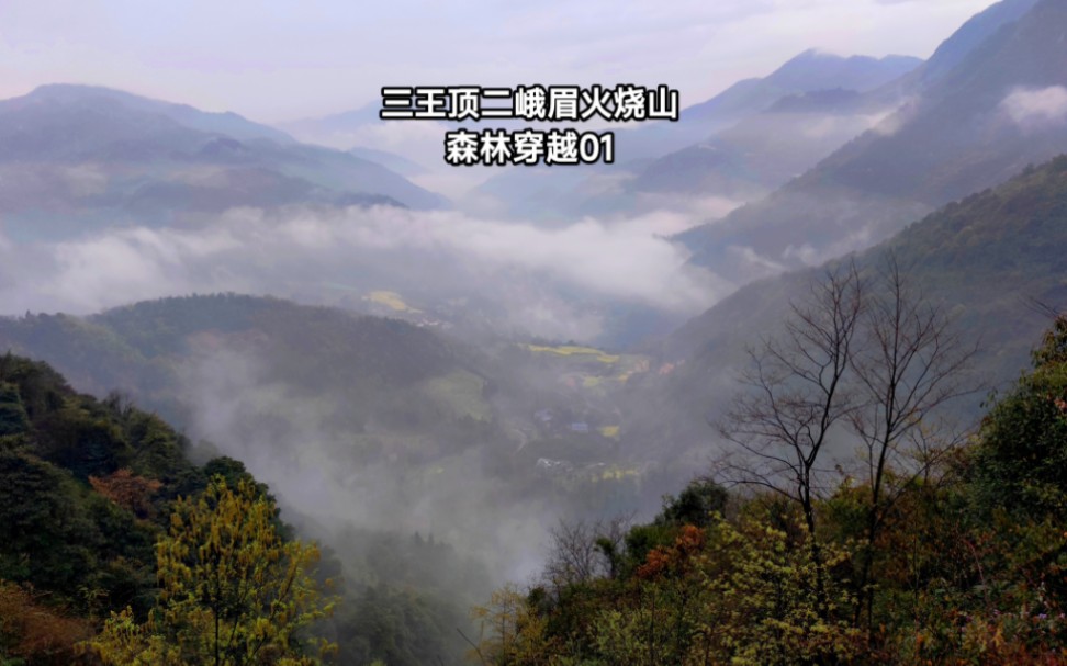 三王顶二峨眉火烧山穿越1,冒雨进入森林,看见很多奇特的东西哔哩哔哩bilibili