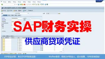 SAP财务实操《录入供应商贷项凭证》@SAP快速入门