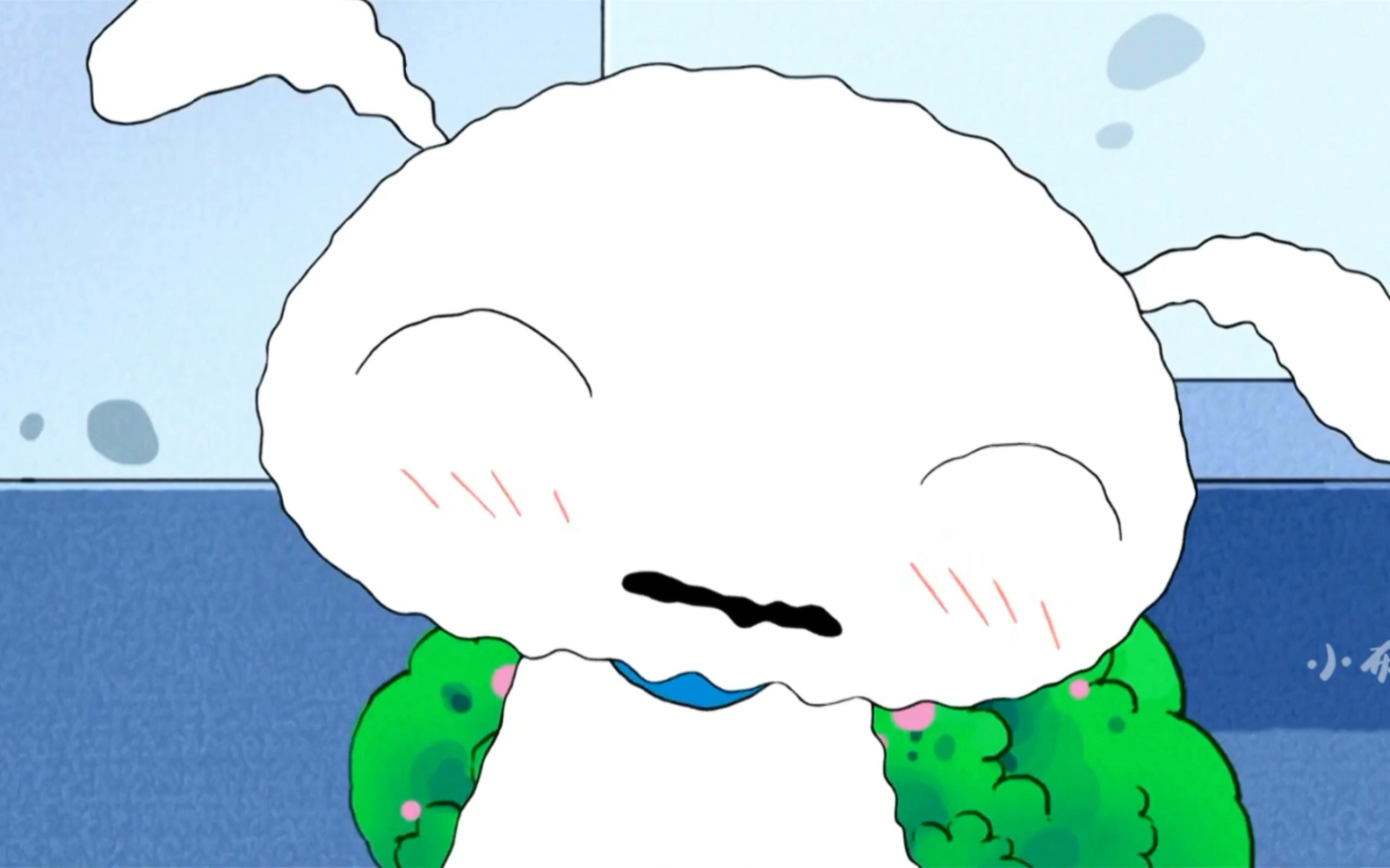 "野原小白,谁不想养一只"