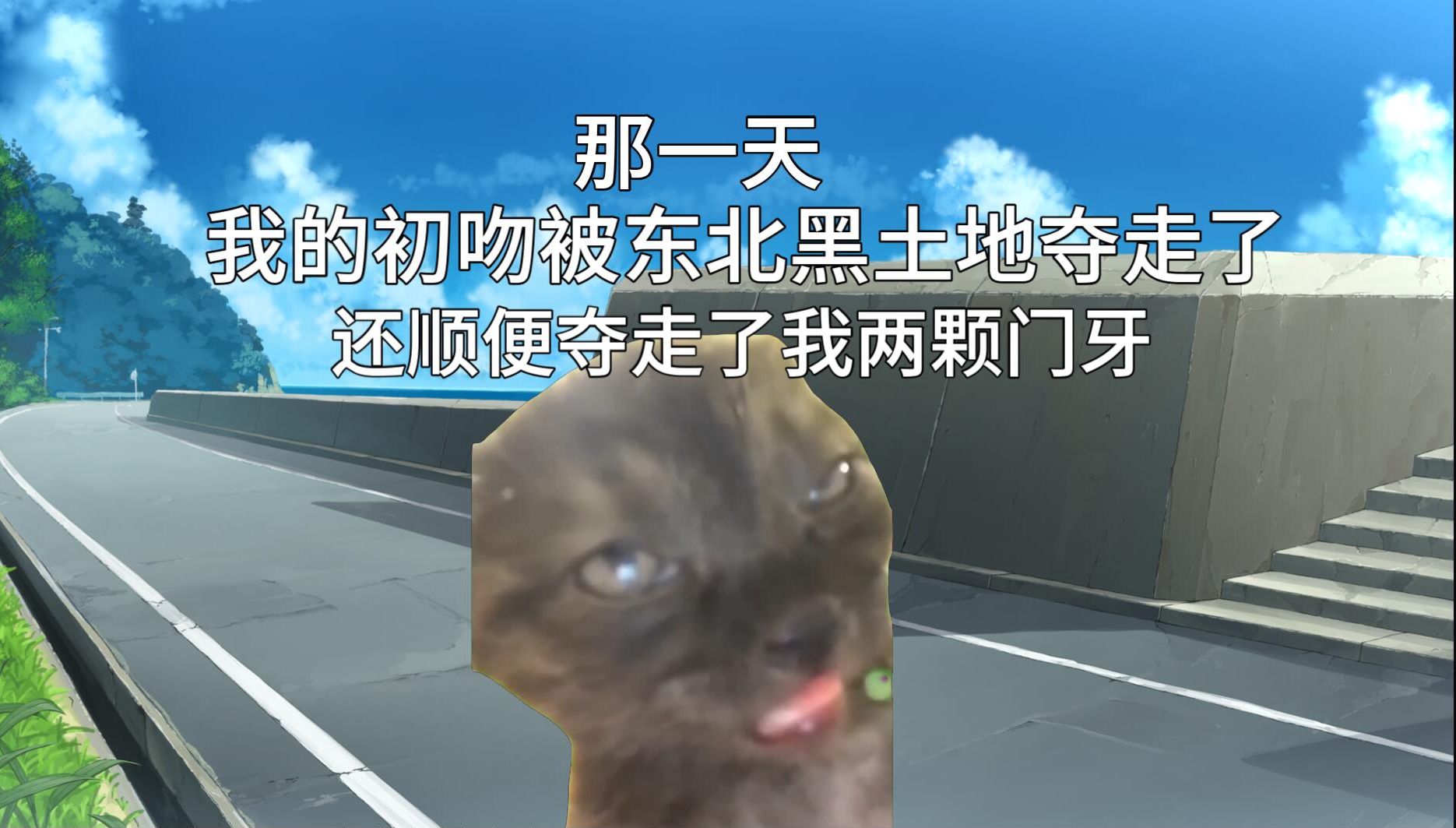 【猫meme】论我能活到今天已经是奇迹的六个事实论据哔哩哔哩bilibili