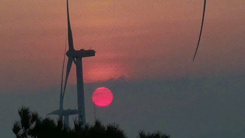 [图]太阳出来咯喂～～～