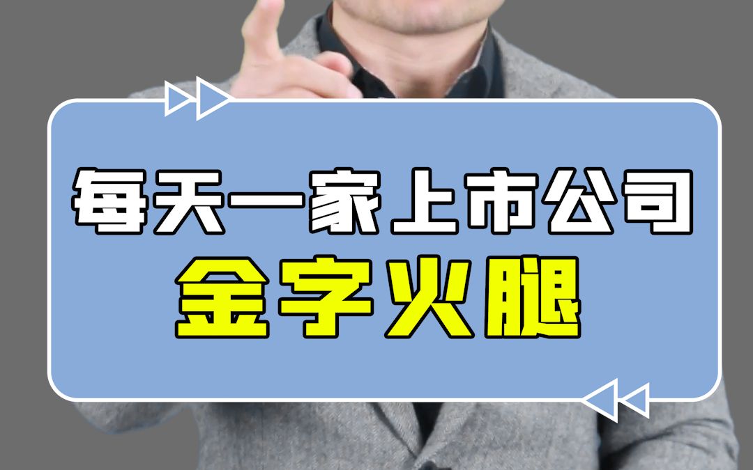 第八集|每天了解一家上市公司金字火腿哔哩哔哩bilibili