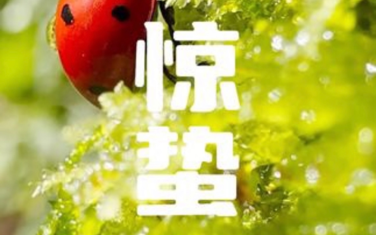 惊蛰|Apple哔哩哔哩bilibili