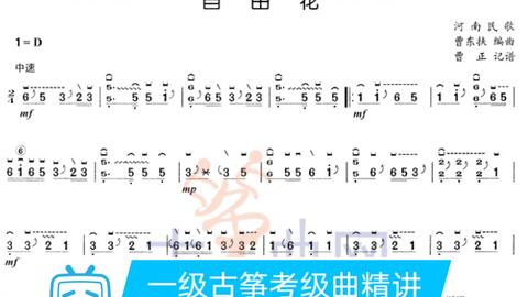 古筝练习 自由花 哔哩哔哩 Bilibili