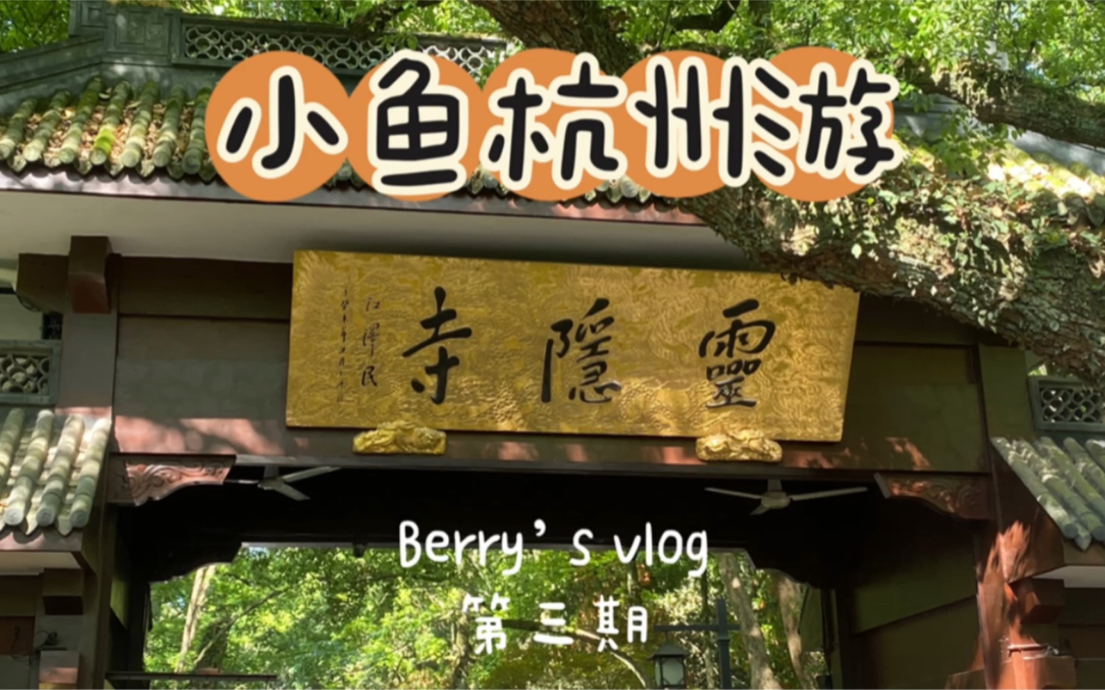 [Berry's vlog] 小鱼杭州游第三期|杭州旅行|一个人旅行|五一去哪儿|西湖|飞来峰|灵隐寺|法喜寺|雷峰塔|良渚古城|断桥残雪|小河直街|京杭大运河哔哩哔哩bilibili