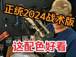 Download Video: 2024款熊牌正统战术版配色，真好看