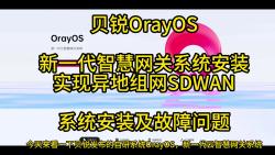 贝锐OrayOS新一代智慧网关系统安装实现异地组网SDWAN系统安装及故障问题哔哩哔哩bilibili