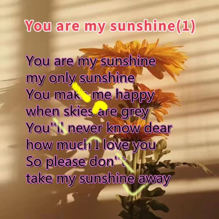 [图]you are my sunshine 教唱(1)