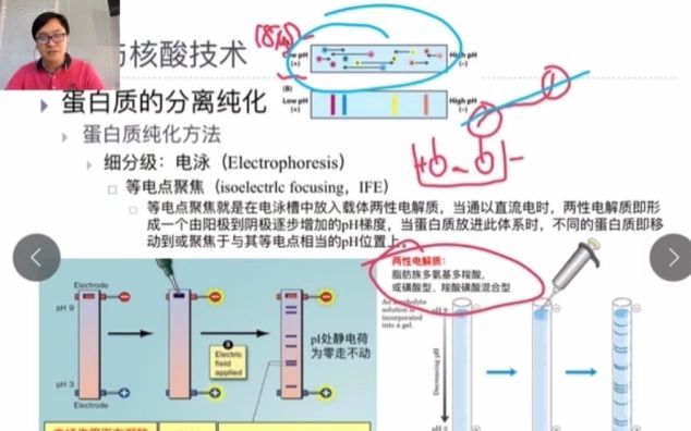 酶动力学精讲 Advanced versionBiochemistry 03哔哩哔哩bilibili