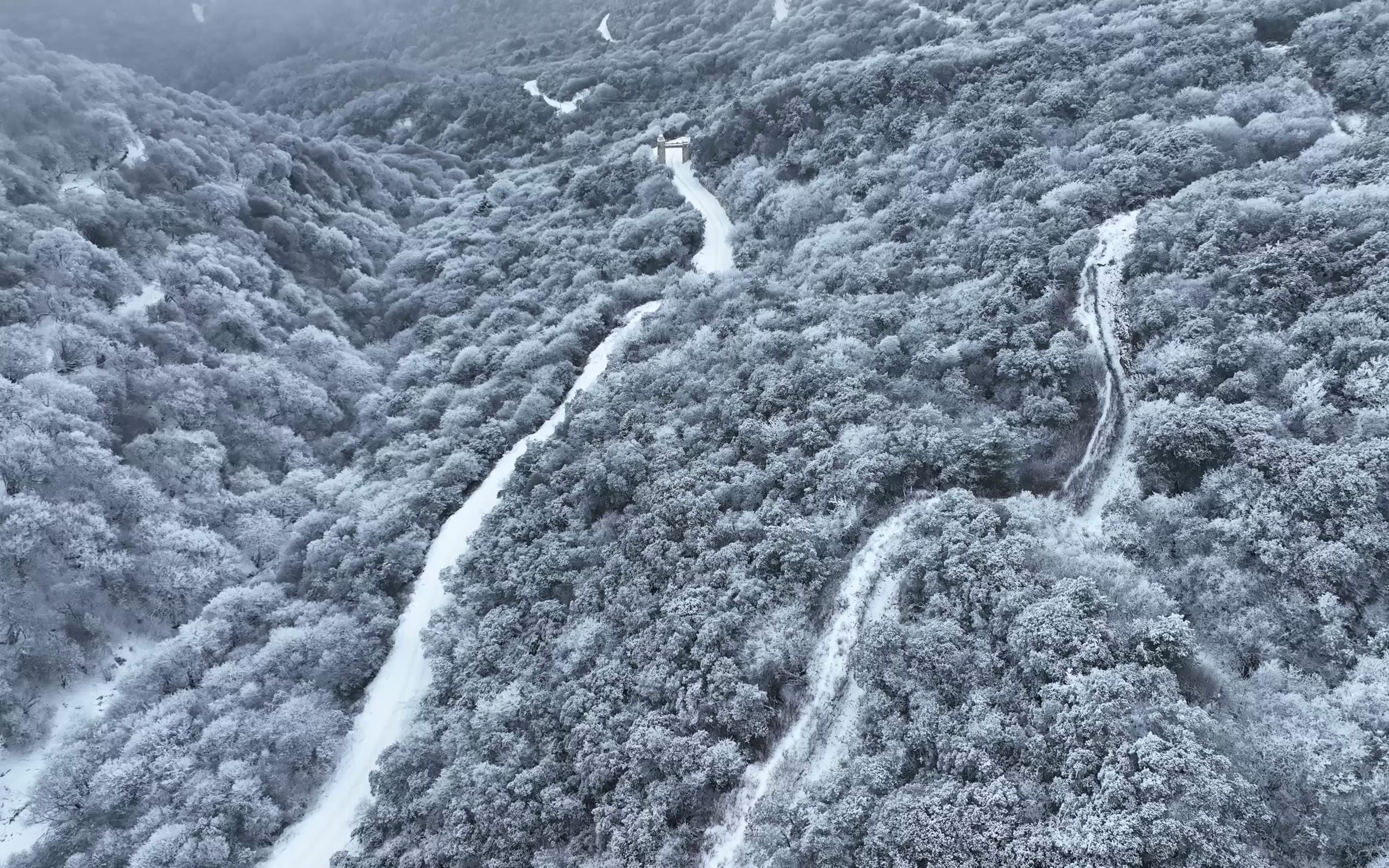 汶川开心牧场 雪景哔哩哔哩bilibili