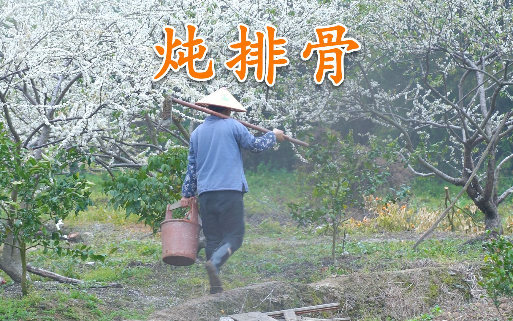 趁着雨季,种上无花果和水蜜桃,还有莲雾,晚上简单炖一道排骨哔哩哔哩bilibili