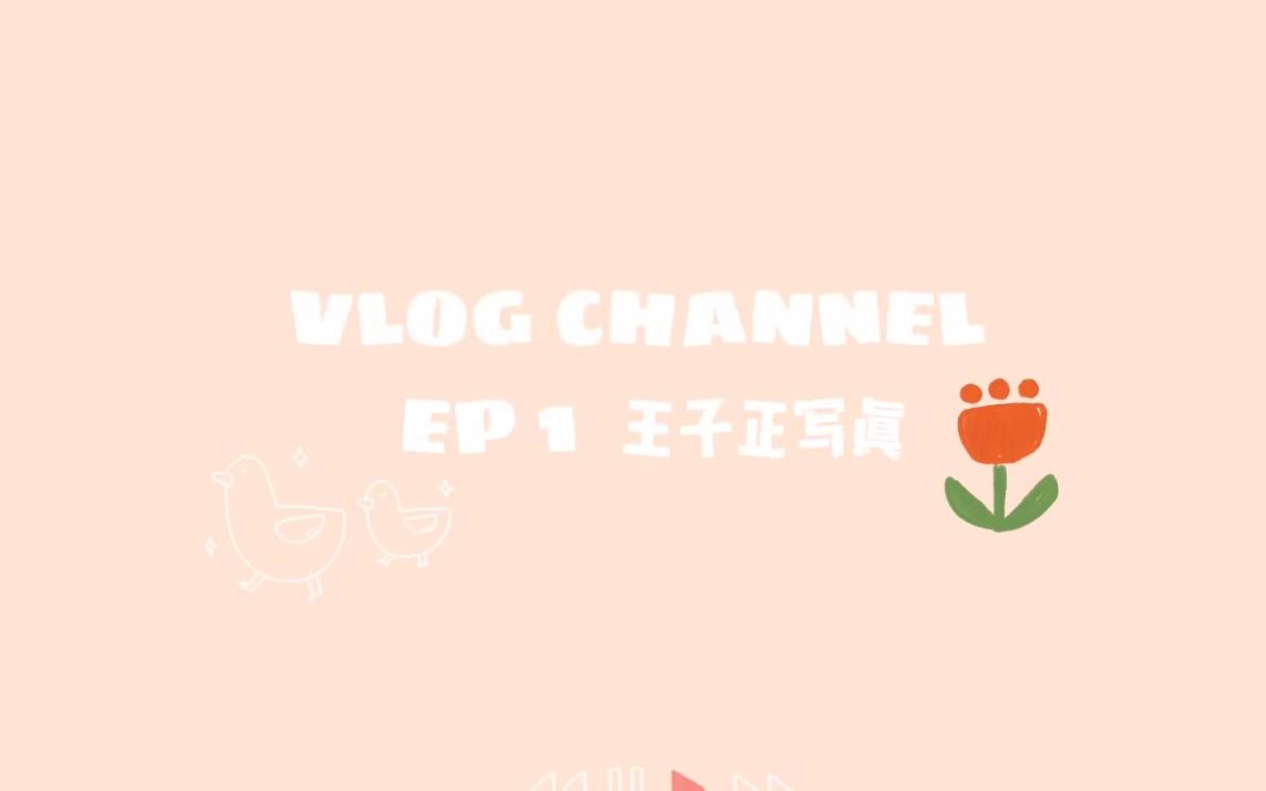 vlog:王子正写真哔哩哔哩bilibili