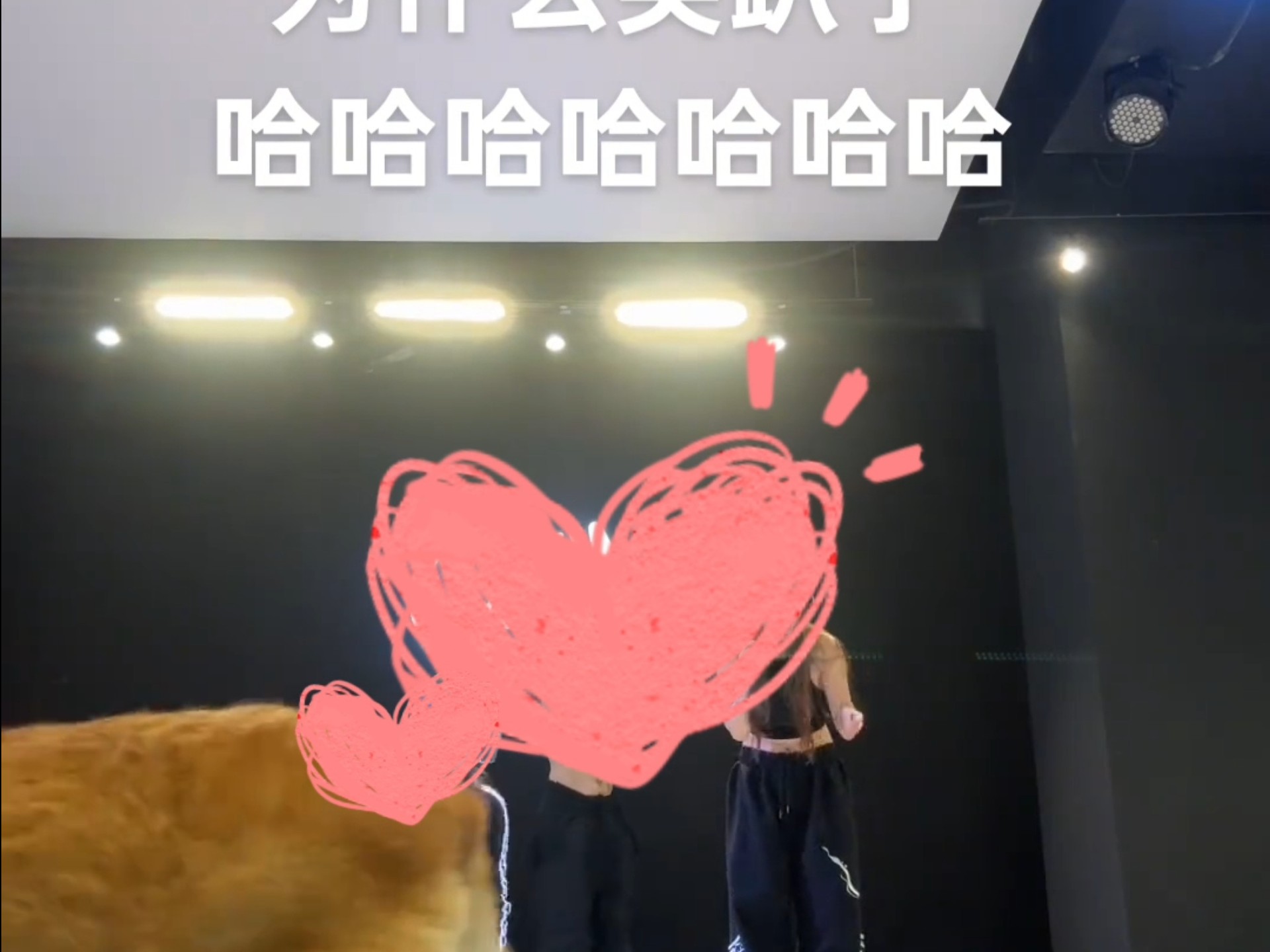 柯基：意不意外，惊不惊喜！