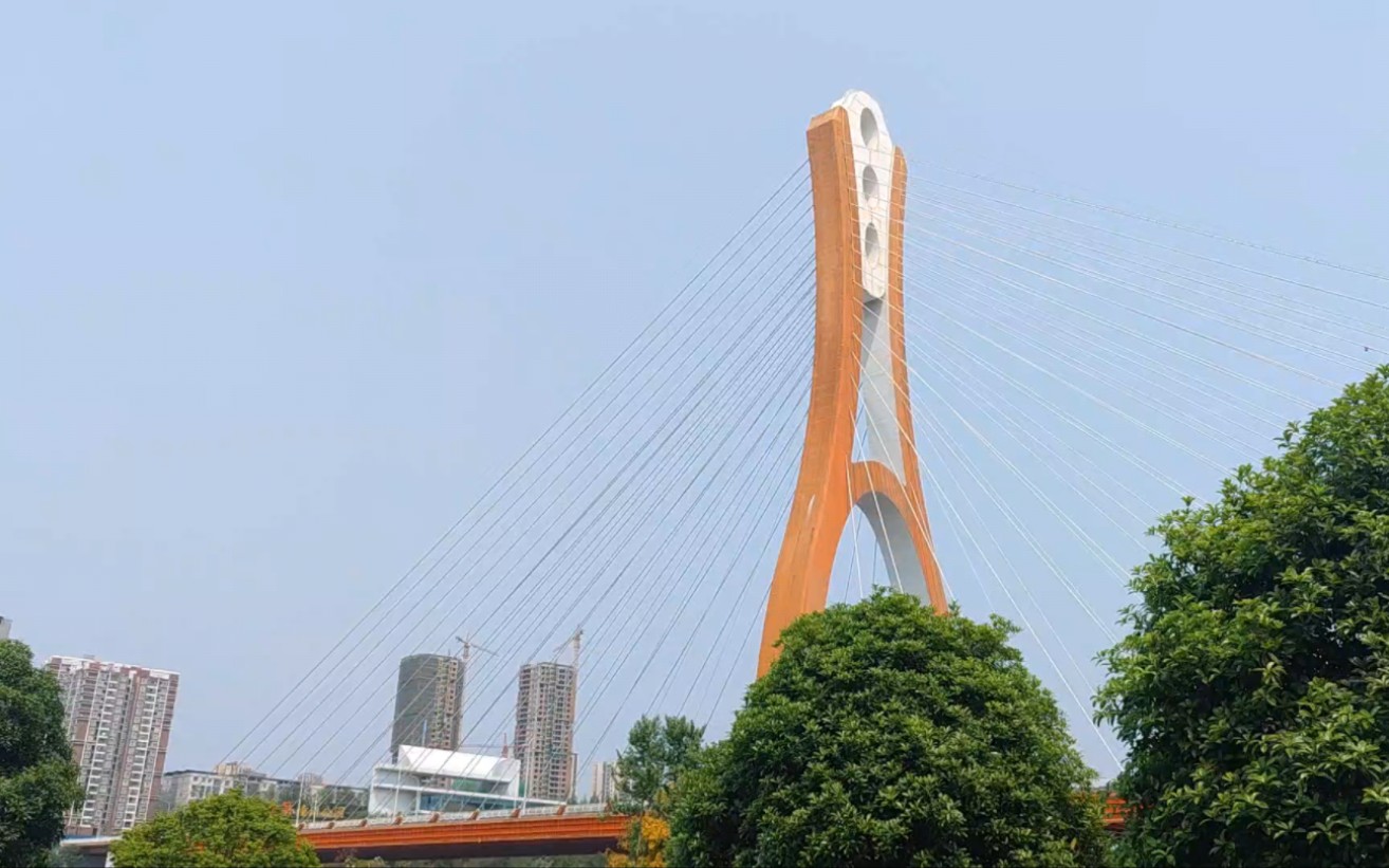 重庆潼南区滨江路上,涪江大桥和莲花大桥之间,有1个湿地公园.