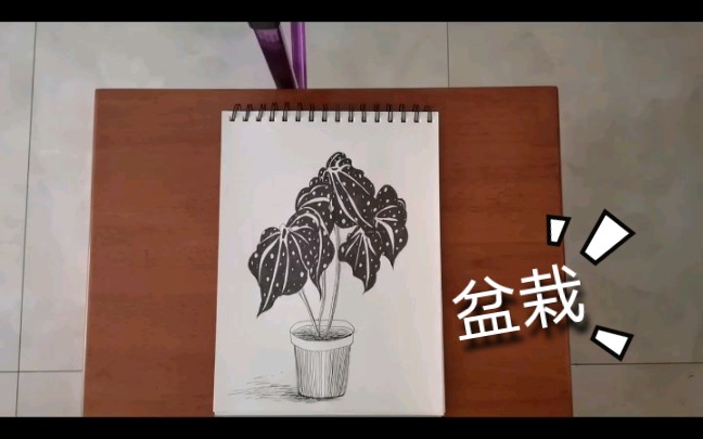 【黑白装饰画】盆栽哔哩哔哩bilibili