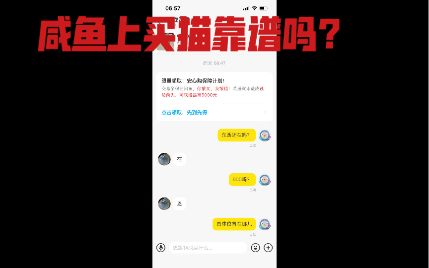 咸鱼上买猫靠谱吗?骗子集合营?各种秀下限?不买不让走?哔哩哔哩bilibili