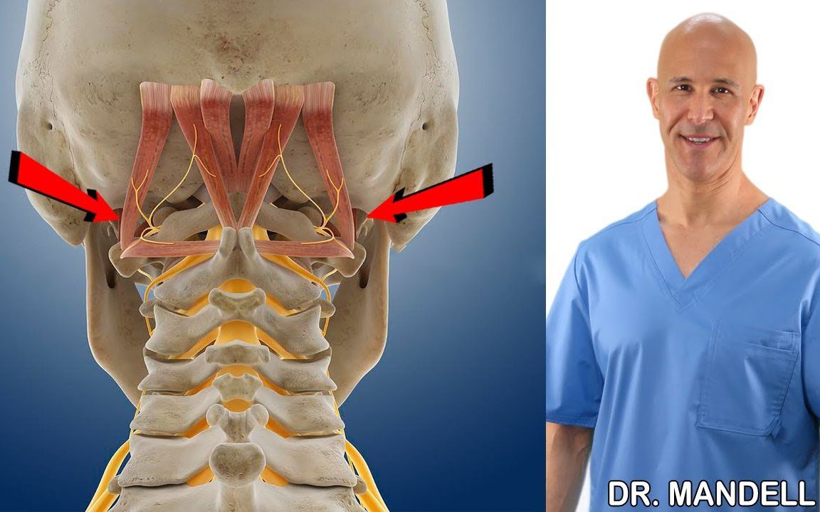 [图]尝试这个神奇的寰枕关节按摩训练！缓解颈部疼痛和头疼的小技巧【Mandell博士】