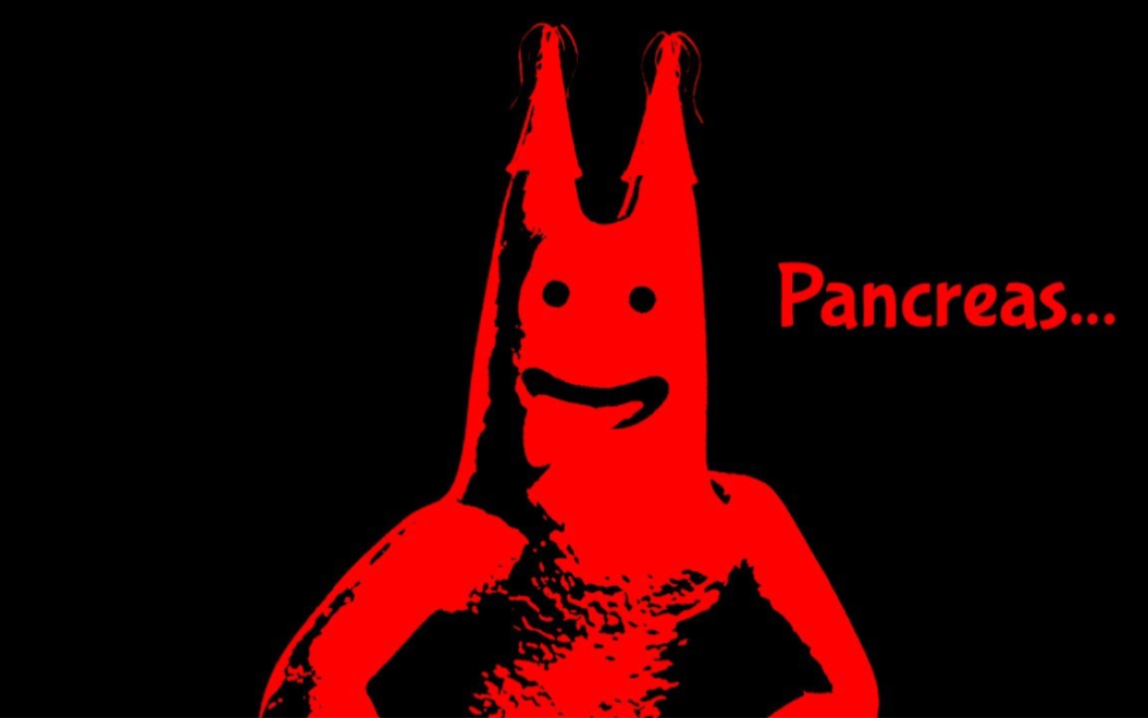 【官方视频】班班的秘密 | 班班幼儿园