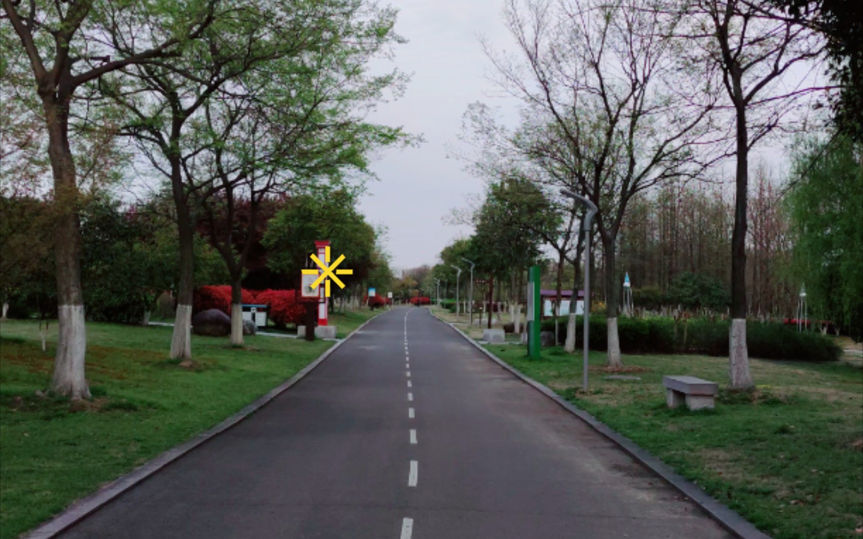 热心市民陈先生