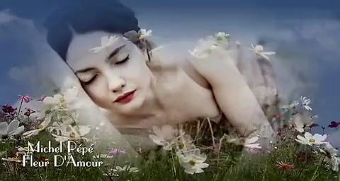 [图]优美纯乐 《Fleur D'Amour 爱之花》