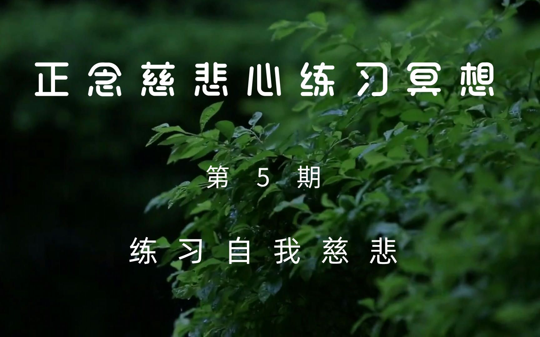 5、正念慈悲心练习冥想练习自我慈悲哔哩哔哩bilibili